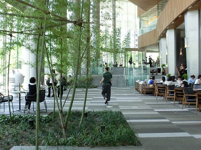 庭に開かれた2階のアトリウムには竹林が設けてあった