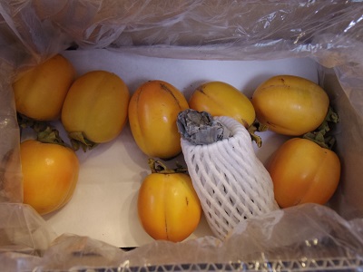 八東特産「西条柿」