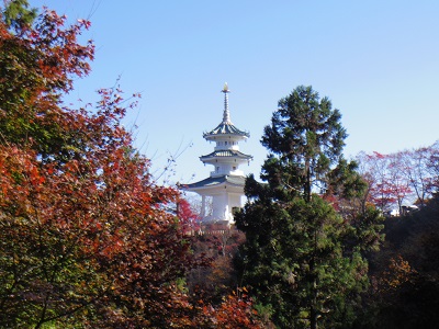 玄奘三蔵塔を眺めると・・・