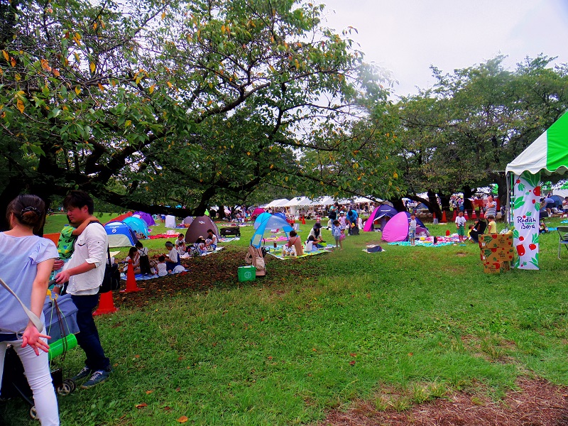 春は花見で賑わう場所で