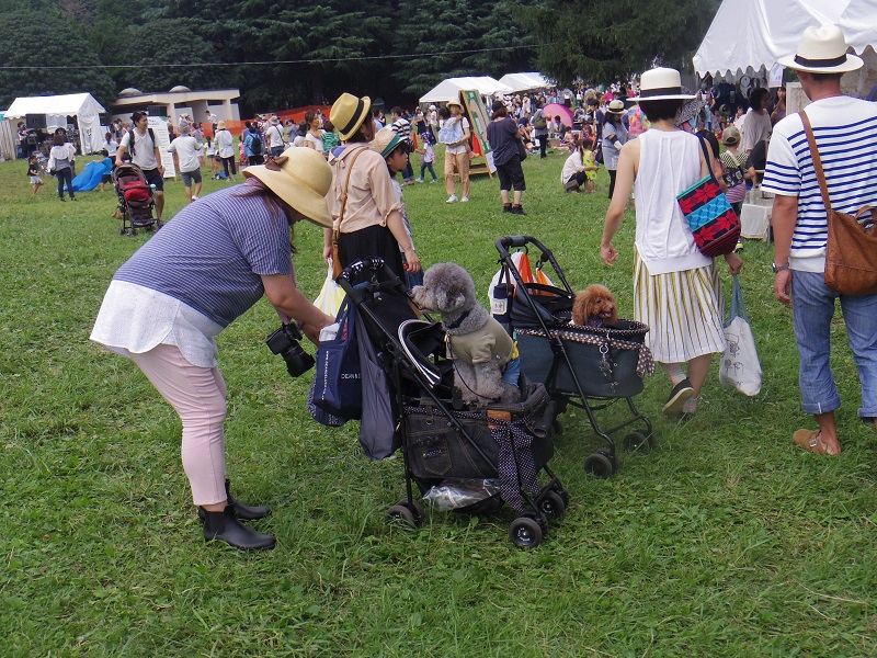 「お犬様」も見物に
