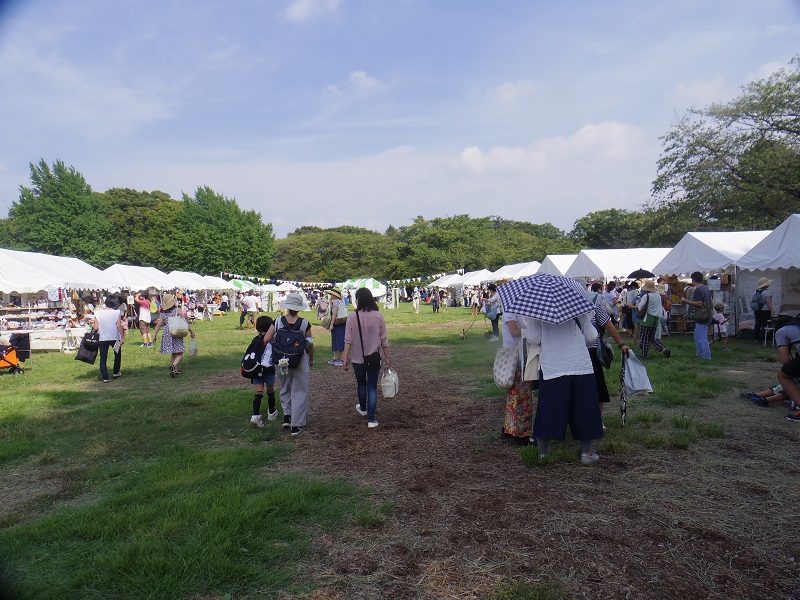 やっぱり芝生はいい