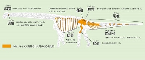 恐竜化石の想像図(兵庫県立人と自然の博物館HP)
